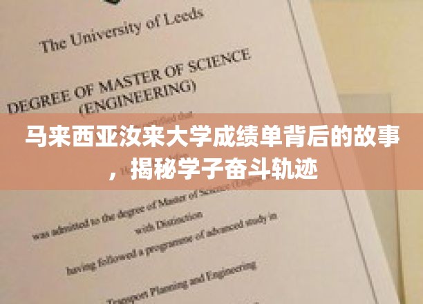 揭开汝来大学成绩单，马来西亚学子的奋斗足迹与梦想篇章