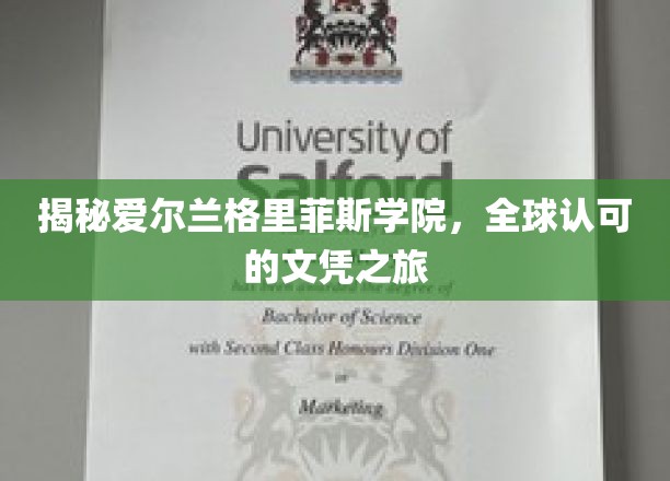 探索爱尔兰格里菲斯学院，开启全球认可的文凭之旅