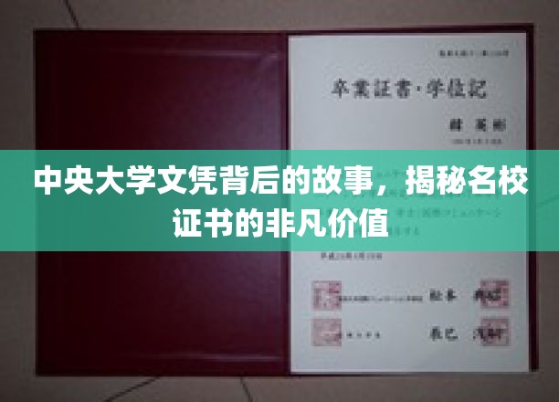 中央大学文凭背后的故事，揭示名校证书的独特价值