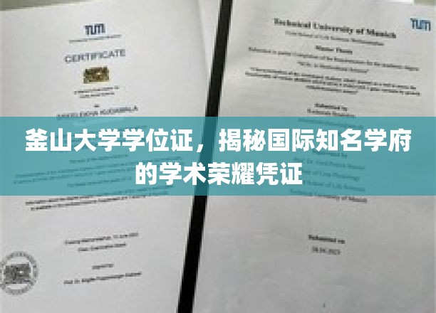 解码釜山大学，一纸学位证背后的学术传奇