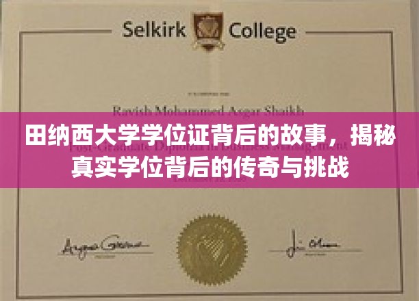 田纳西大学学位证背后的故事，揭秘真实学位背后的传奇与挑战