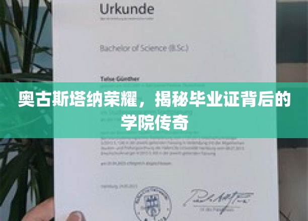 奥古斯塔纳学院荣耀揭秘，毕业证书背后的传奇故事