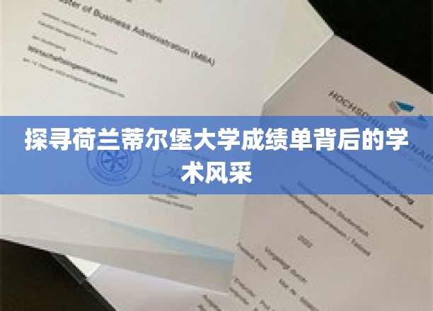 解码蒂尔堡大学成绩单，一窥荷兰高等教育的独特魅力