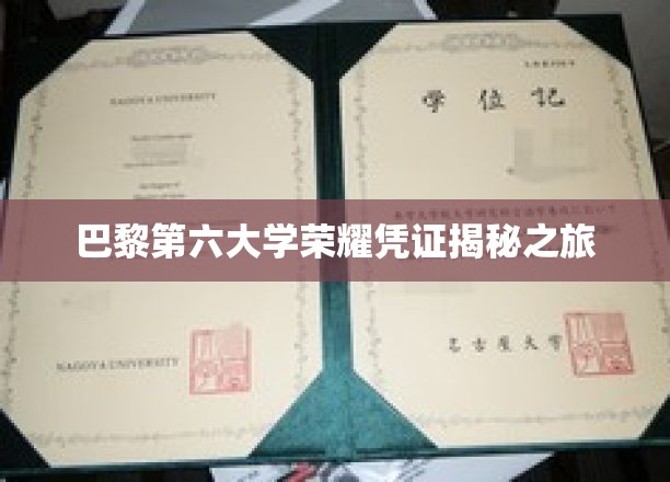 探索巴黎第六大学背后的辉煌荣耀历程