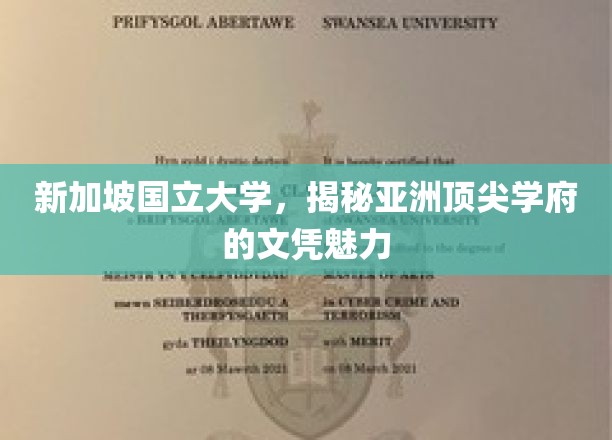 解码狮城精英，新加坡国立大学文凭的独特吸引力