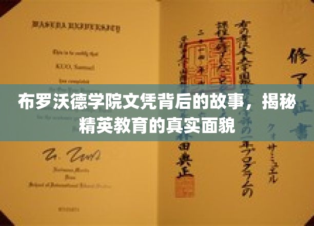 布罗沃德学院文凭之谜，探寻精英教育背后的真实图景