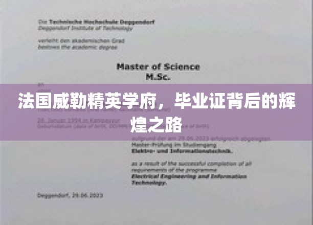 探寻法国威勒精英学府，毕业证背后的荣耀足迹