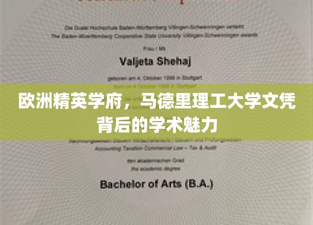 欧洲精英学府，马德里理工大学文凭背后的学术魅力