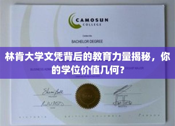 林肯大学学位之谜，探究学历背后的真实教育价值与市场价值