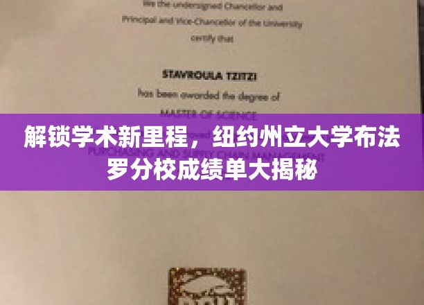破译学术前沿，纽约州立布法罗分校成绩单背后故事揭晓