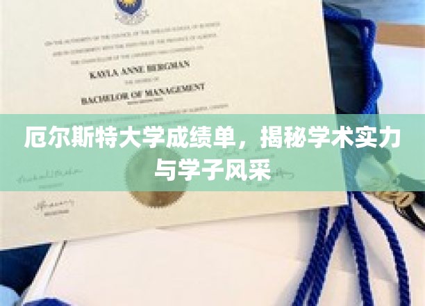 解码厄尔斯特学子卓越表现，一纸成绩单背后的学术魅力与风采绽放