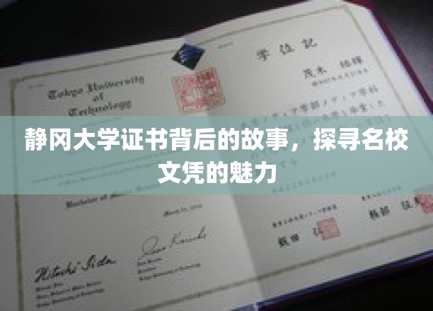 静冈大学文凭背后的传奇，揭秘名校风采与学术魅力