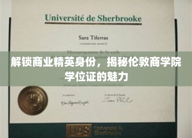 解锁商业精英的蜕变之路，领略伦敦商学院学位证书的无尽魅力
