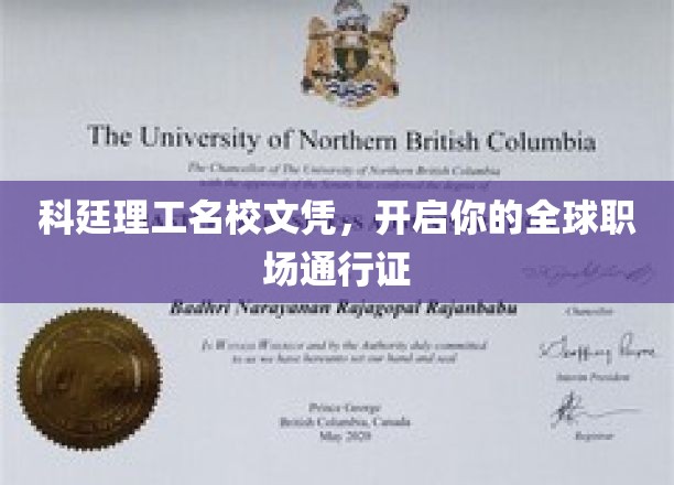 科廷文凭，国际职场自由行的金钥匙