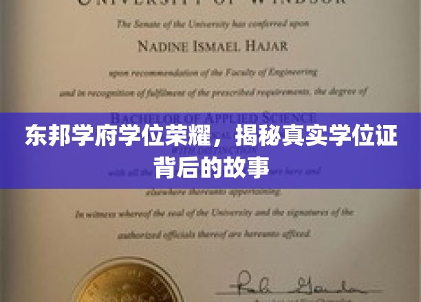 学位荣耀背后，东邦学府的非凡历程揭秘