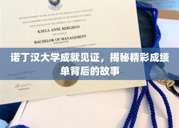 诺丁汉荣耀，揭秘顶尖成绩单背后的传奇历程