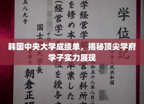韩中央大学学子风采，成绩单背后的卓越实力揭秘