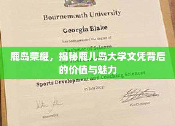 鹿岛荣耀，揭秘鹿儿岛大学文凭背后的价值与魅力