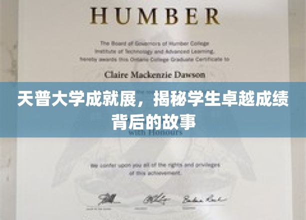 天普大学成就展，揭秘学生卓越成绩背后的故事