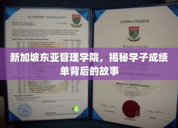 新加坡东亚管理学院，解码学子成绩单背后的奋斗轨迹