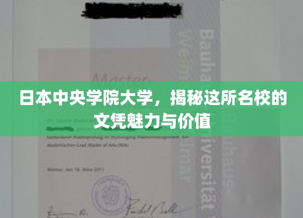 探索日本中央学院大学，文凭背后的非凡魅力与深远价值