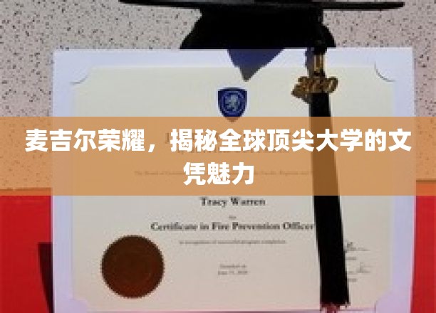 麦吉尔荣耀探秘，揭秘全球顶尖大学文凭的非凡吸引力