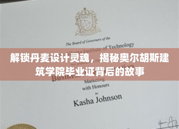 解锁丹麦设计灵魂，揭秘奥尔胡斯建筑学院毕业证背后的故事