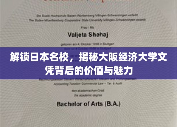 探秘大阪经济大学，名校文凭背后的无限可能