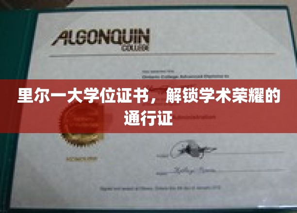 解锁学术巅峰，里尔一大学位证书，荣耀之路的敲门砖