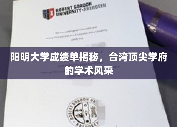 阳明大学成绩单背后的学术精英风采大揭秘