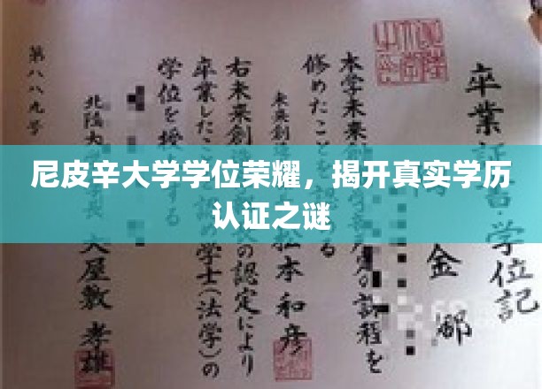 尼皮辛大学学位之谜，揭秘学历认证背后的真实面纱