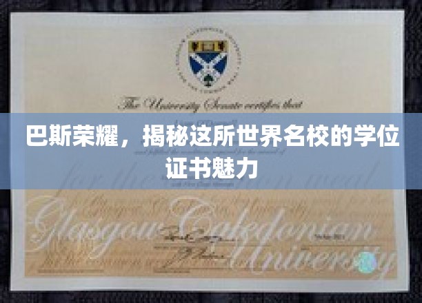 探寻巴斯之光，世界名校学位证书的神秘魅力