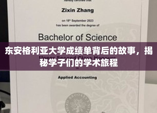 探寻东安格利亚大学学子成绩单背后的精彩学术足迹