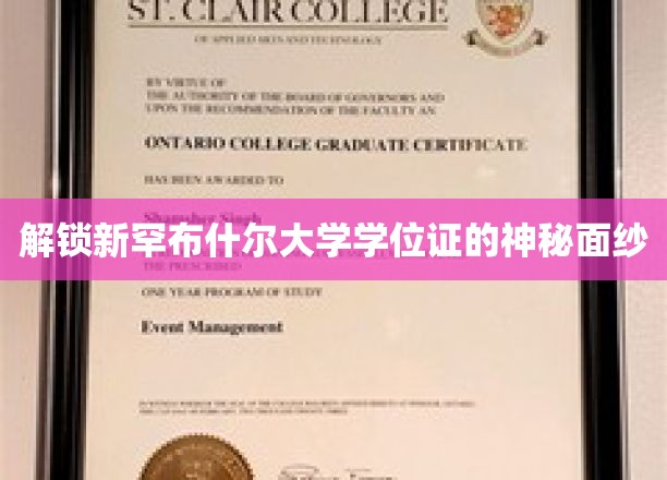 揭开新罕布什尔大学学位证书的神秘面纱，探索荣誉背后的故事