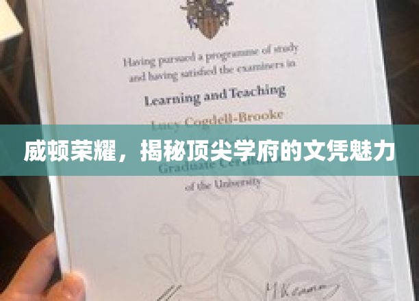 解码威顿荣耀，顶尖学府文凭的独特吸引力