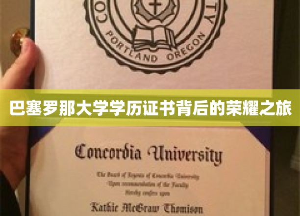 巴塞罗那大学学历证书背后的荣耀之旅