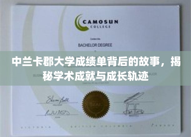 探寻中兰卡郡大学成绩单背后的成长密码