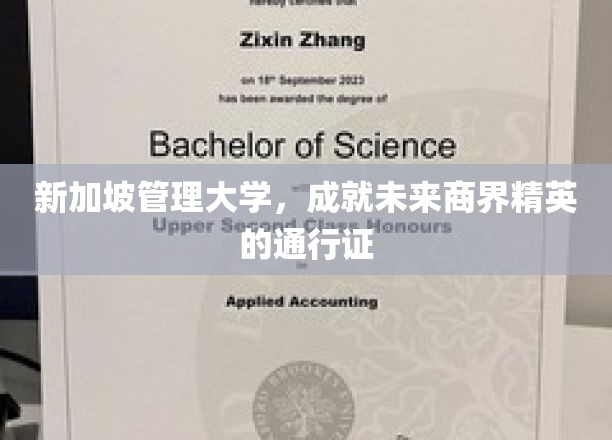 新加坡管理大学，成就未来商界精英的通行证