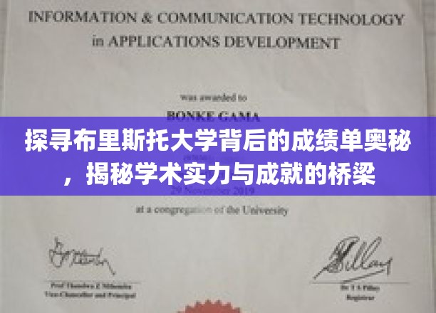 揭开布里斯托大学卓越成就背后的神秘力量