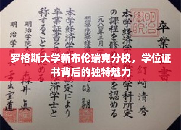 探寻罗格斯大学新布伦瑞克分校，学位证书的非凡韵味