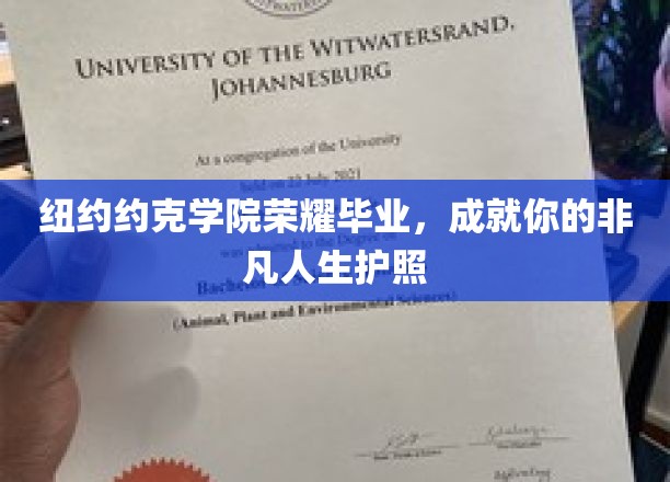 纽约约克学院荣耀毕业，开启非凡人生新篇章