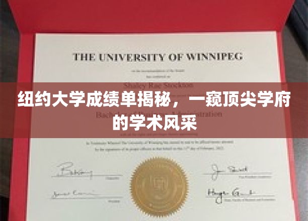 纽约大学成绩单揭秘，一窥顶尖学府的学术风采