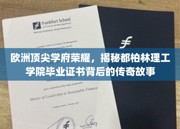 欧洲顶尖学府荣耀，揭秘都柏林理工学院毕业证书背后的传奇故事