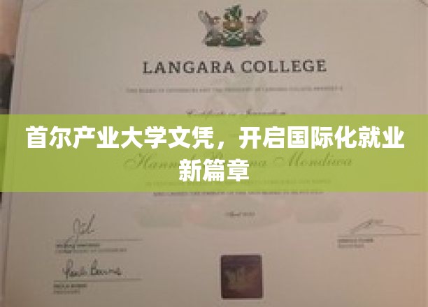 首尔产业大学荣耀，开启全球职场新旅程