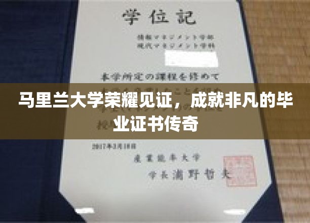 马里兰荣耀盛典，毕业证书的非凡传奇之路