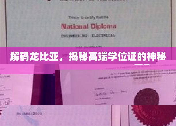 解码龙比亚，揭开高端学位证的神秘面纱
