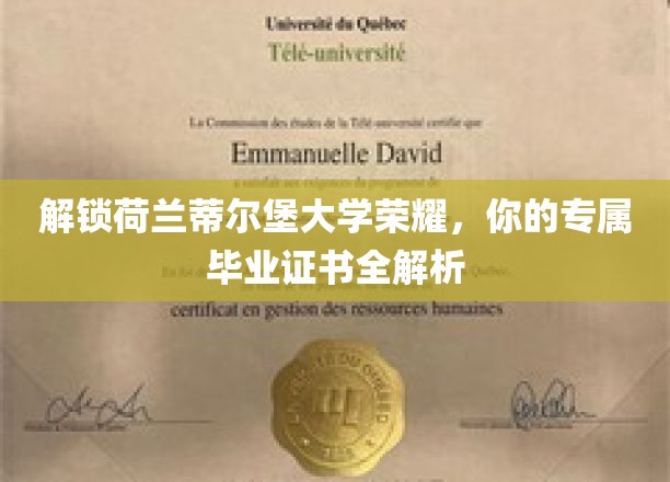荷兰蒂尔堡大学毕业证书揭秘，揭秘你的荣耀之旅