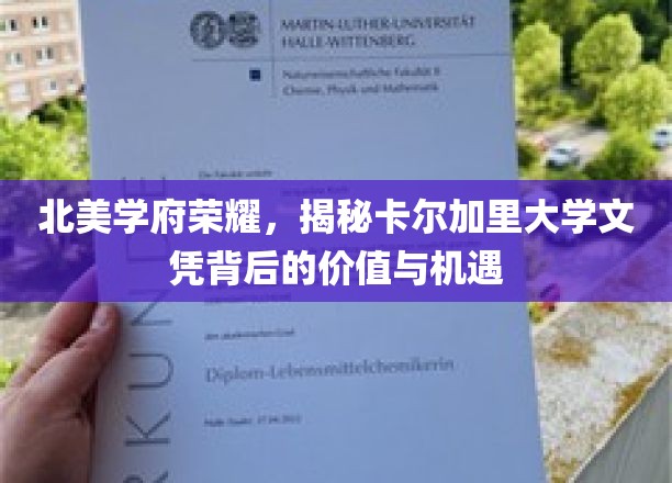 加航北美名校光环，卡尔加里大学文凭的潜力和未来展望