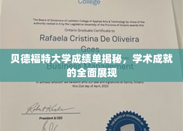 贝德福特大学成绩单揭秘，学术成就的全面展现