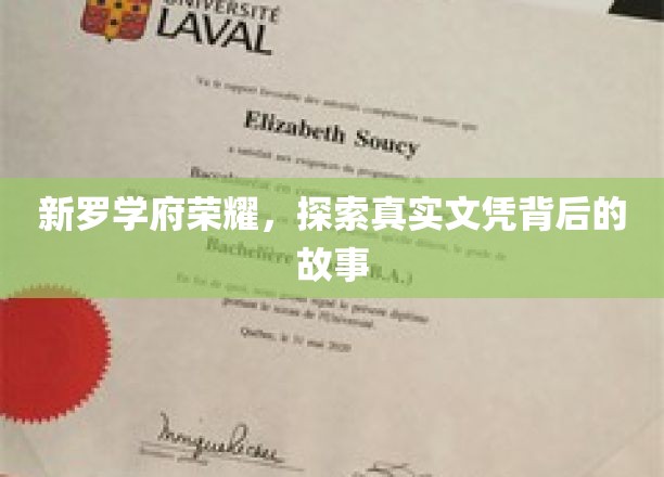 新罗学府荣耀，探寻真实文凭背后的故事